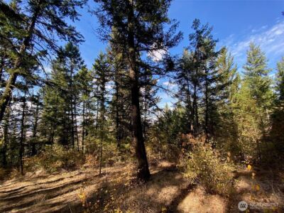 8888 Deer Creek Drive , Waterville, WA 98858 - Photo 15