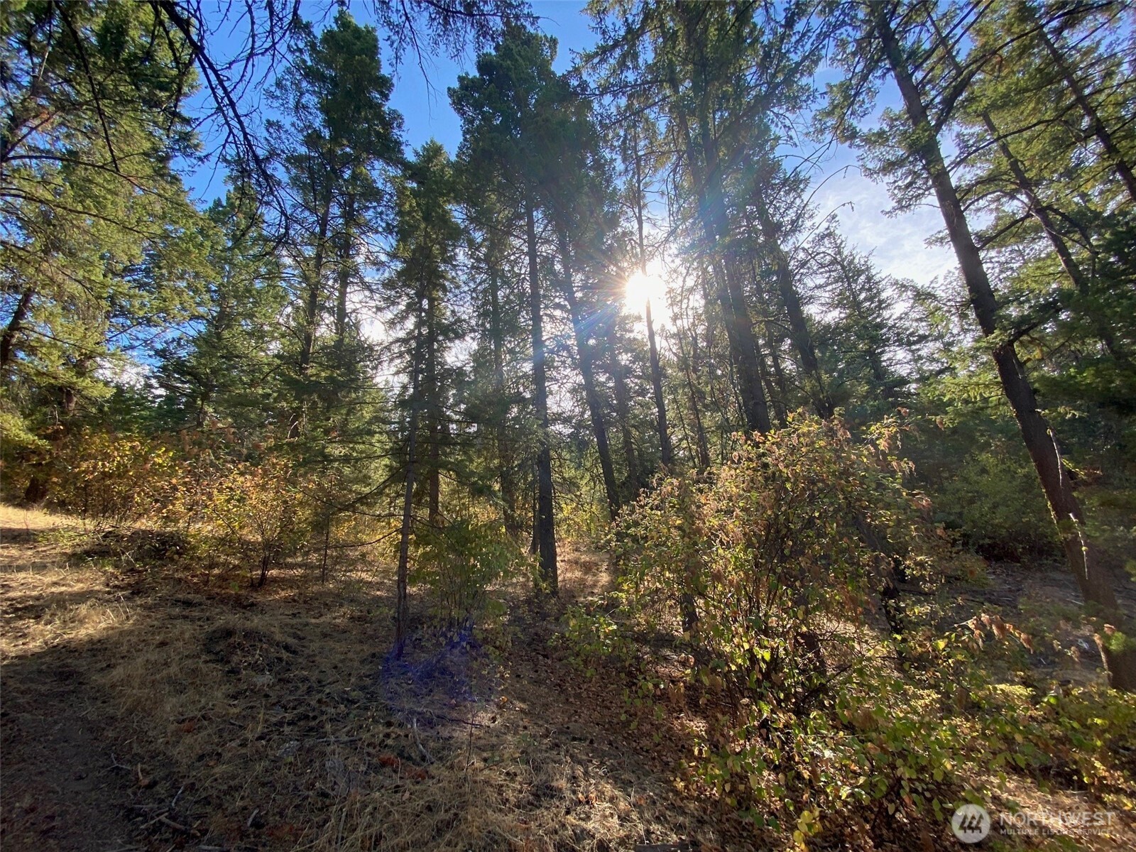 8888 Deer Creek Drive , Waterville, WA 98858