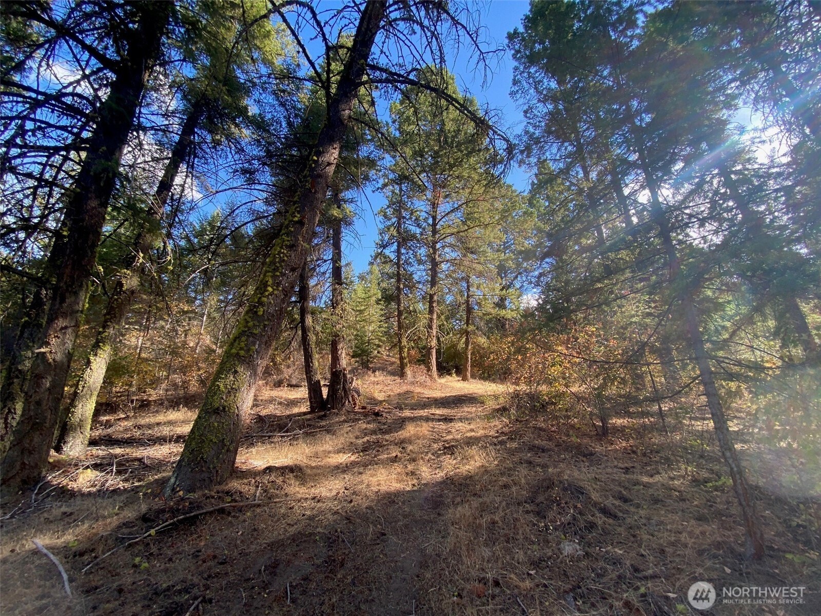8888 Deer Creek Drive , Waterville, WA 98858