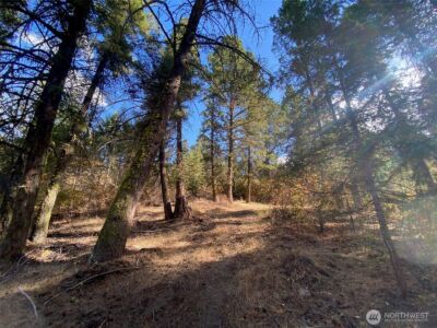8888 Deer Creek Drive , Waterville, WA 98858 - Photo 17