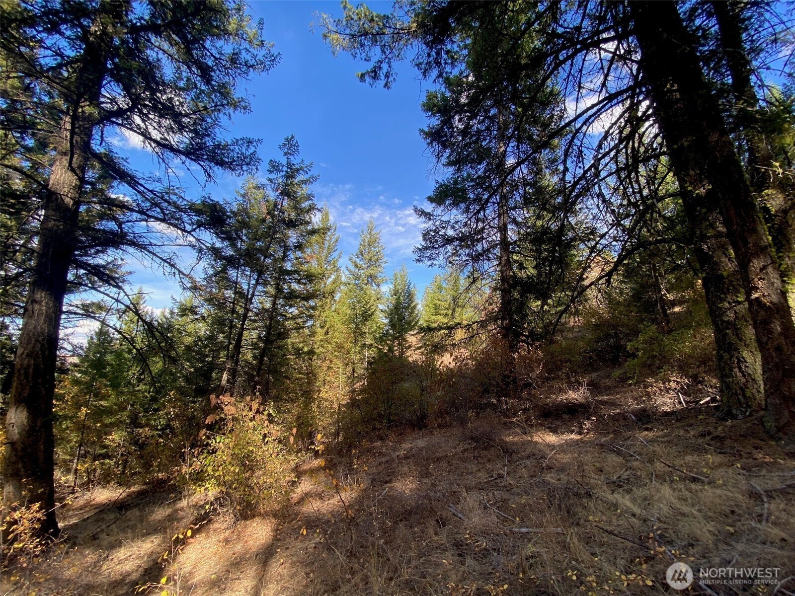 8888 Deer Creek Drive , Waterville, WA 98858