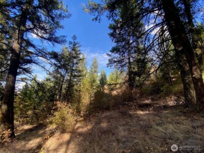 8888 Deer Creek Drive , Waterville, WA 98858 - Photo 18