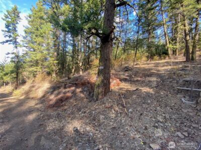 8888 Deer Creek Drive , Waterville, WA 98858 - Photo 19