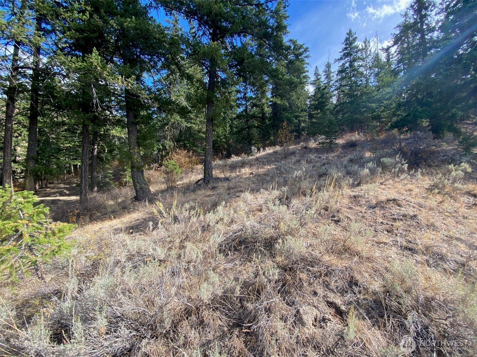 8888 Deer Creek Drive , Waterville, WA 98858