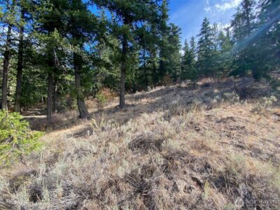 8888 Deer Creek Drive , Waterville, WA 98858 - Photo 21
