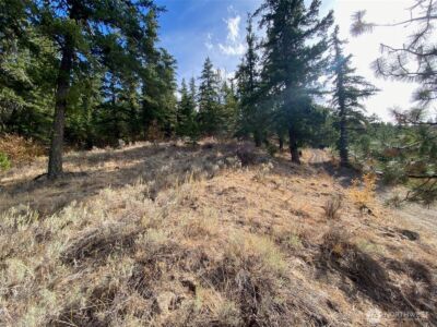 8888 Deer Creek Drive , Waterville, WA 98858 - Photo 22