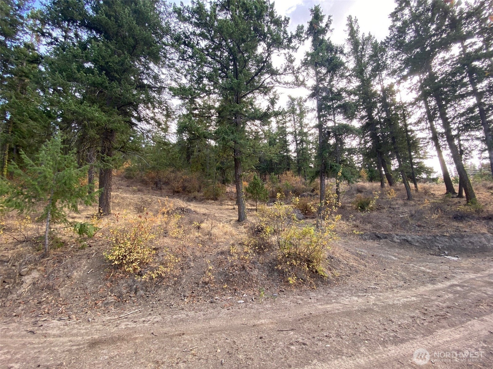 8888 Deer Creek Drive , Waterville, WA 98858
