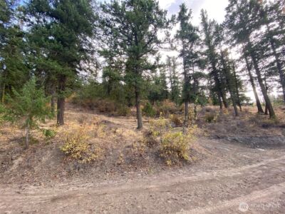 8888 Deer Creek Drive , Waterville, WA 98858 - Photo 23