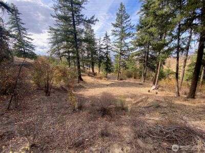 8888 Deer Creek Drive , Waterville, WA 98858 - Photo 24