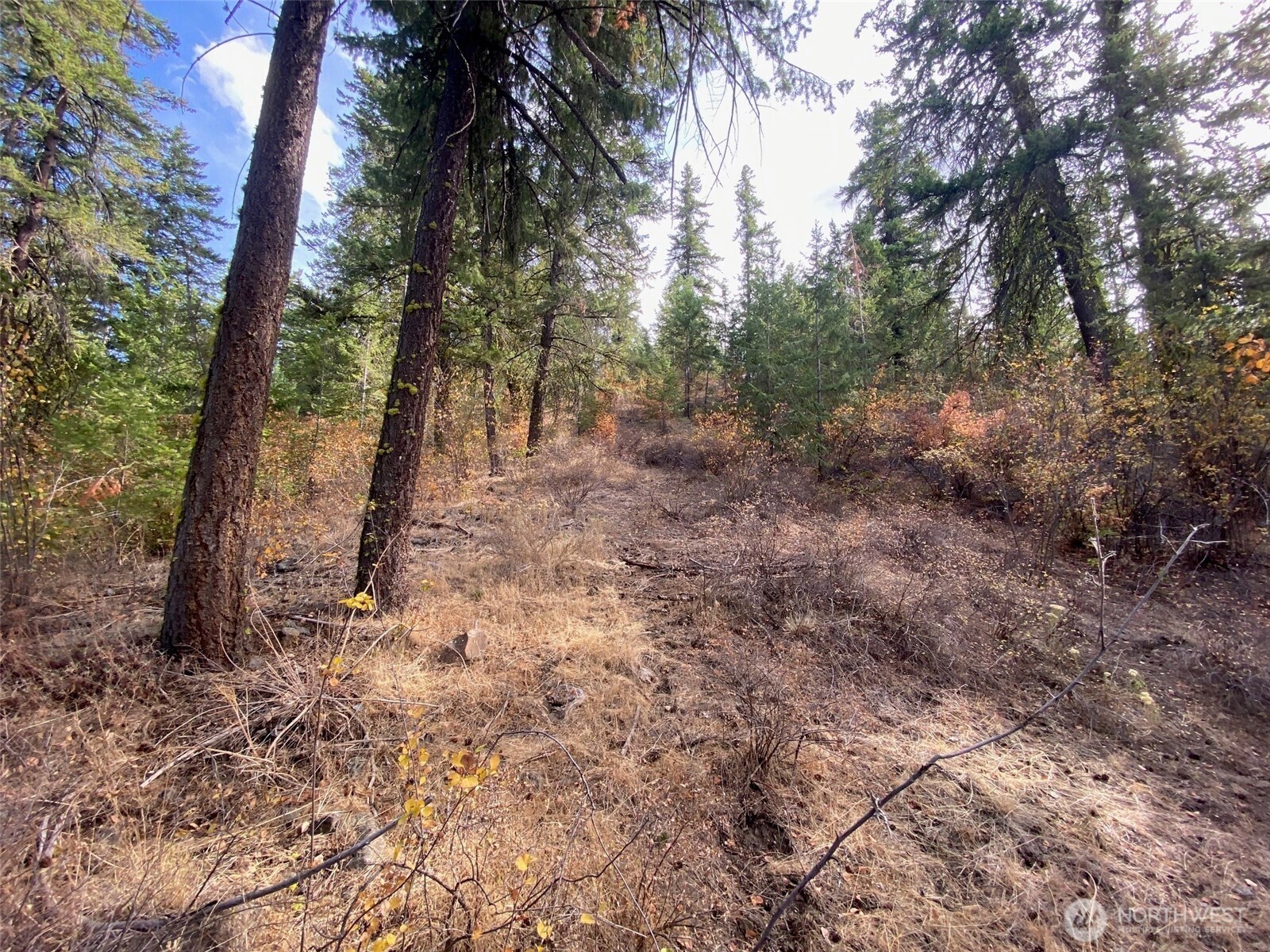 8888 Deer Creek Drive , Waterville, WA 98858