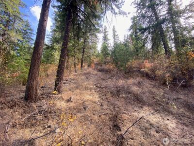 8888 Deer Creek Drive , Waterville, WA 98858 - Photo 26