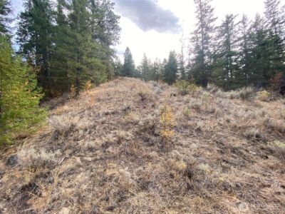 8888 Deer Creek Drive , Waterville, WA 98858 - Photo 27
