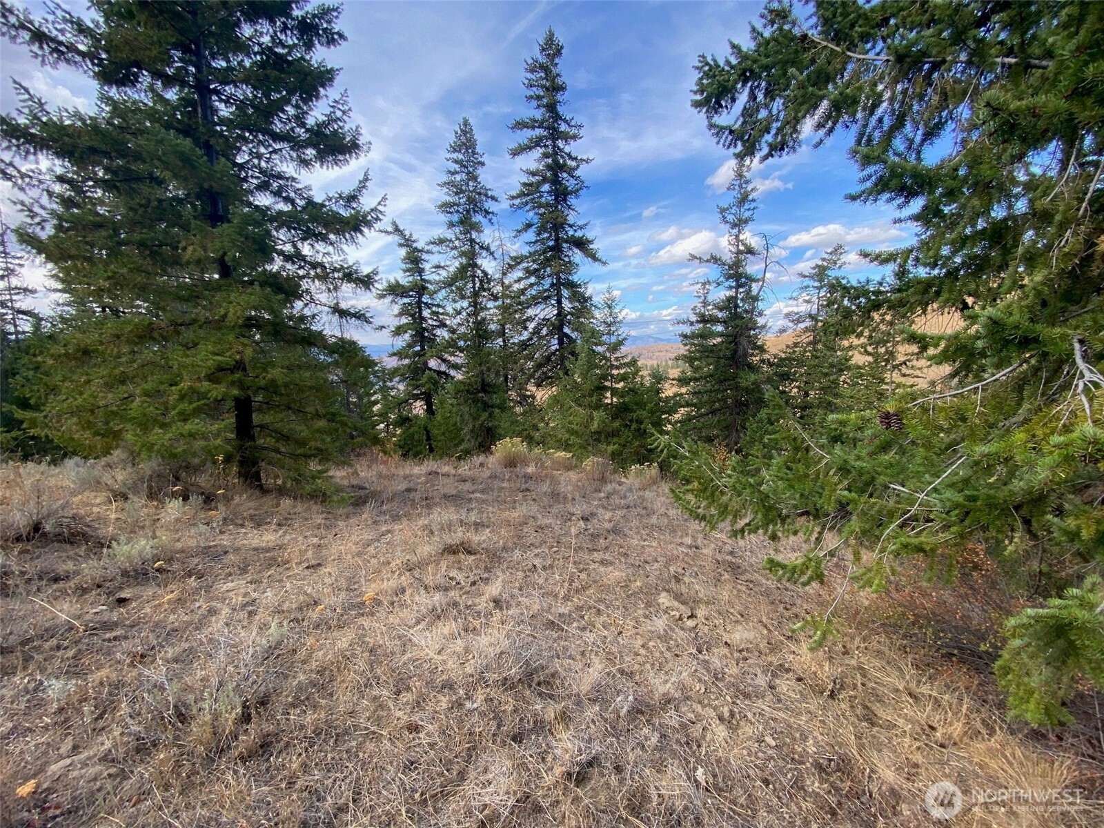8888 Deer Creek Drive , Waterville, WA 98858