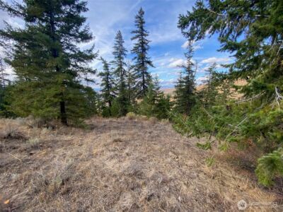 8888 Deer Creek Drive , Waterville, WA 98858 - Photo 28