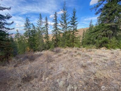 8888 Deer Creek Drive , Waterville, WA 98858 - Photo 29