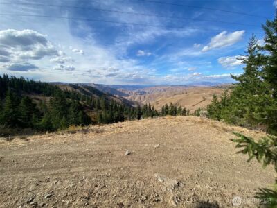 8888 Deer Creek Drive , Waterville, WA 98858 - Photo 3