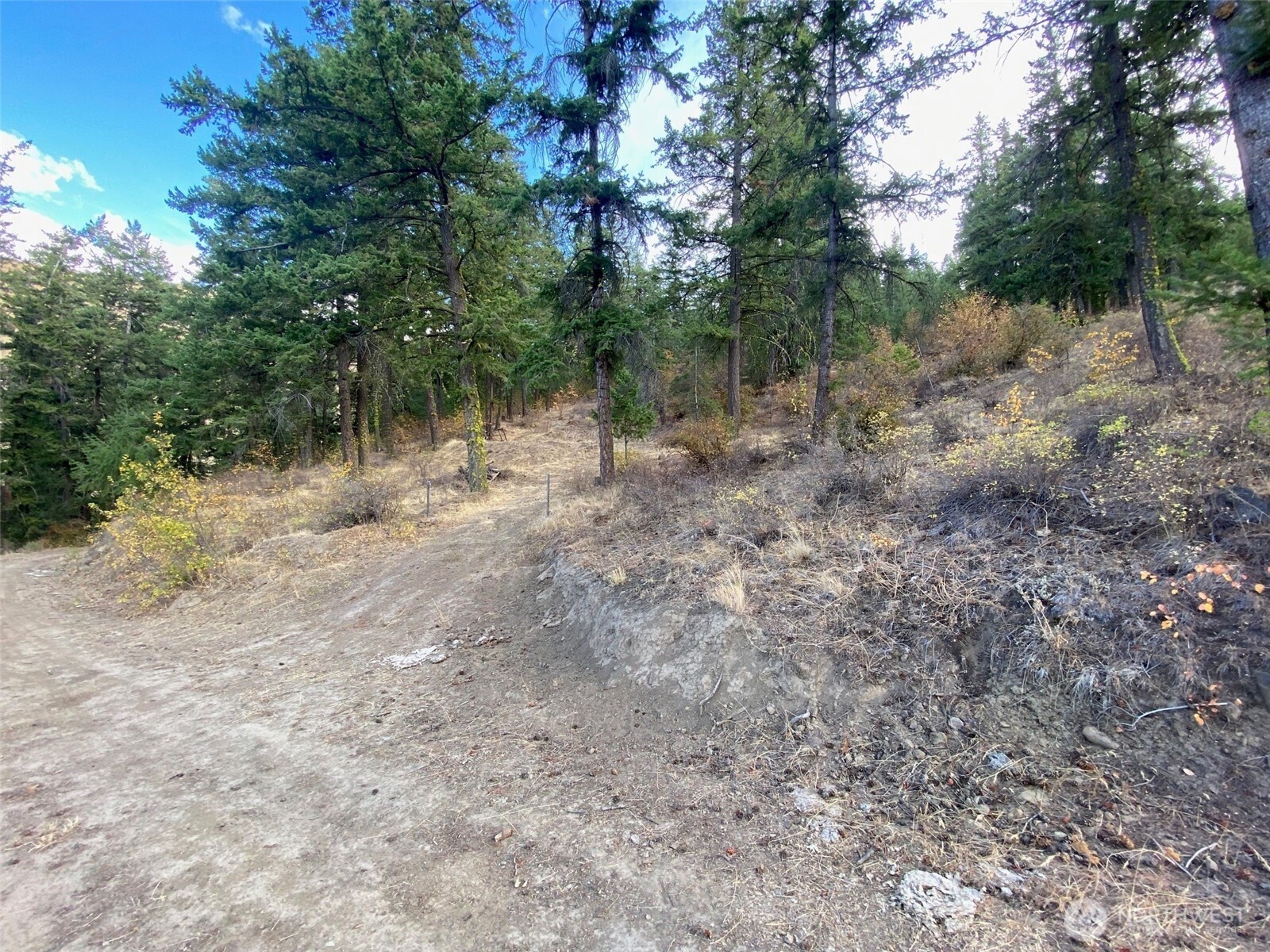 8888 Deer Creek Drive , Waterville, WA 98858