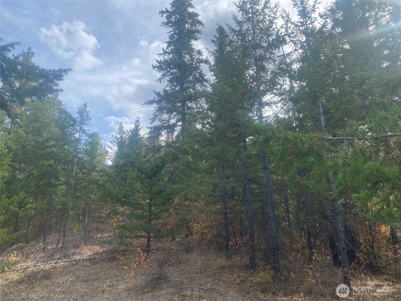 8888 Deer Creek Drive , Waterville, WA 98858