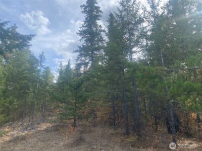 8888 Deer Creek Drive , Waterville, WA 98858 - Photo 31
