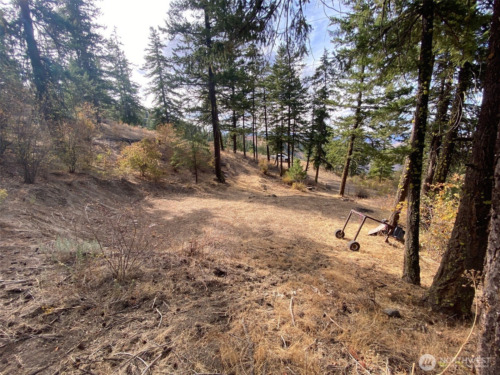 8888 Deer Creek Drive , Waterville, WA 98858