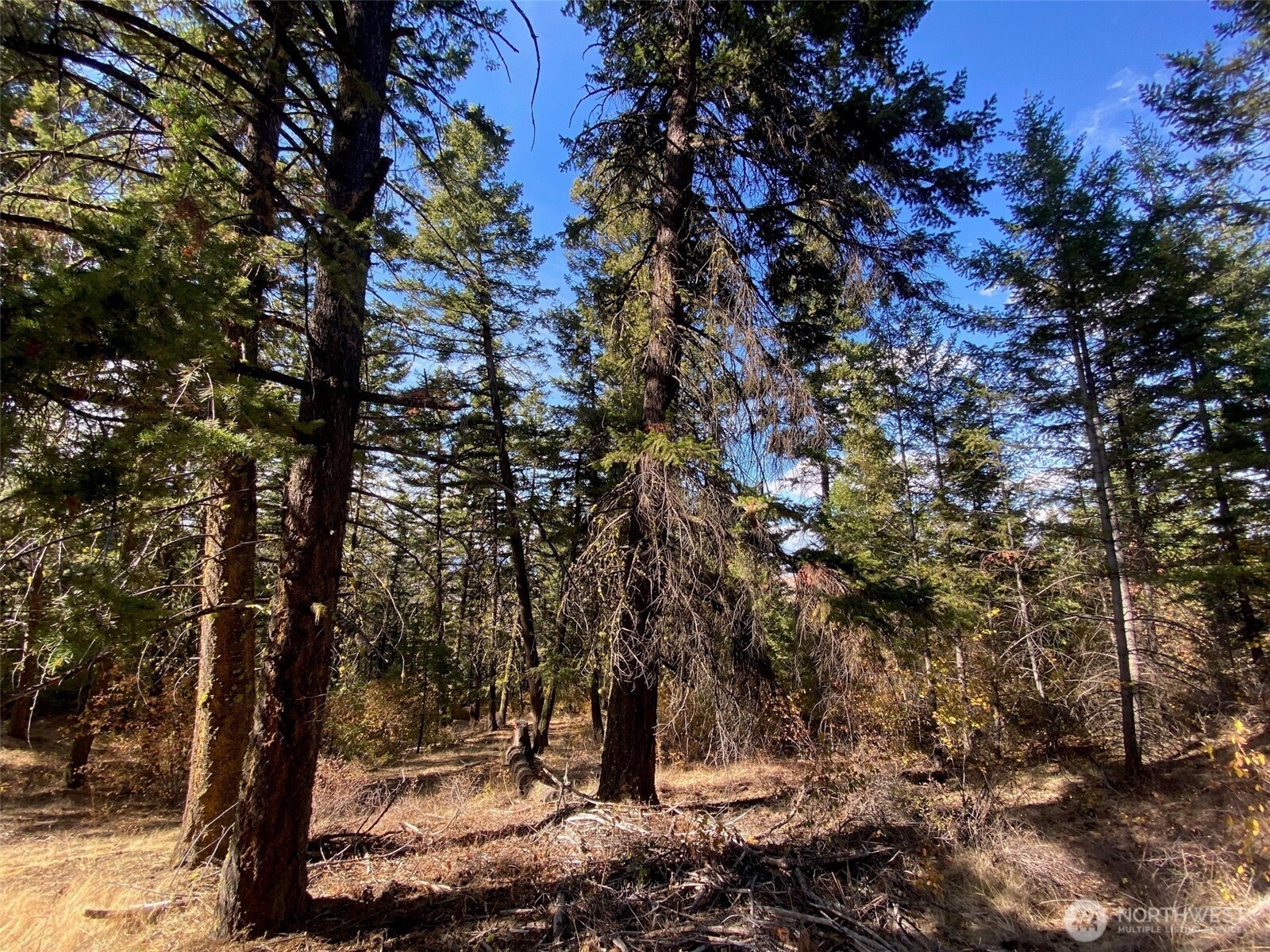 8888 Deer Creek Drive , Waterville, WA 98858