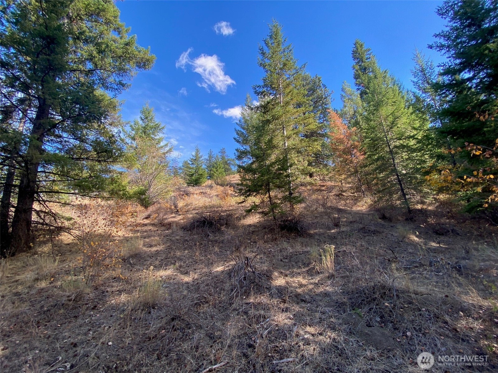 8888 Deer Creek Drive , Waterville, WA 98858
