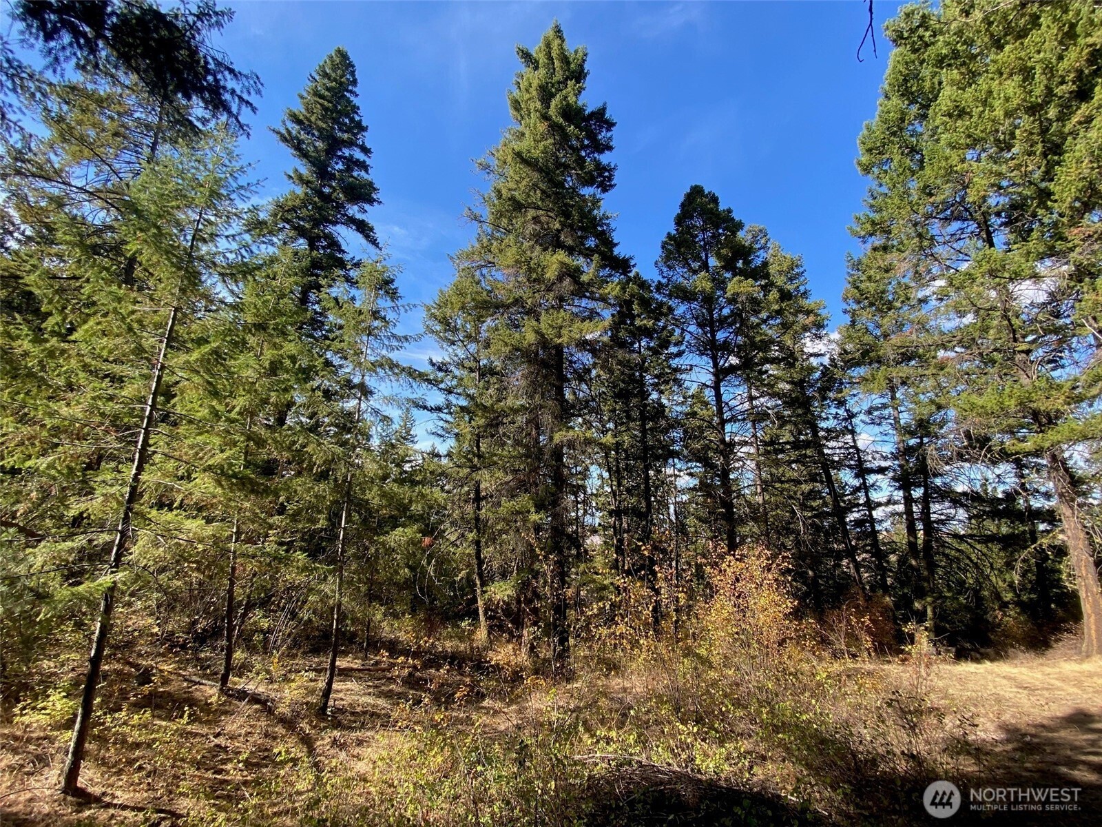 8888 Deer Creek Drive , Waterville, WA 98858