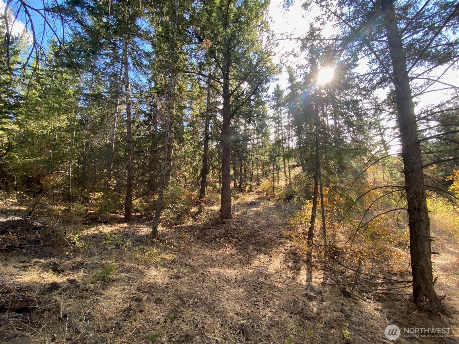 8888 Deer Creek Drive , Waterville, WA 98858