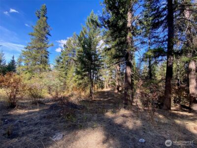 8888 Deer Creek Drive , Waterville, WA 98858 - Photo 10