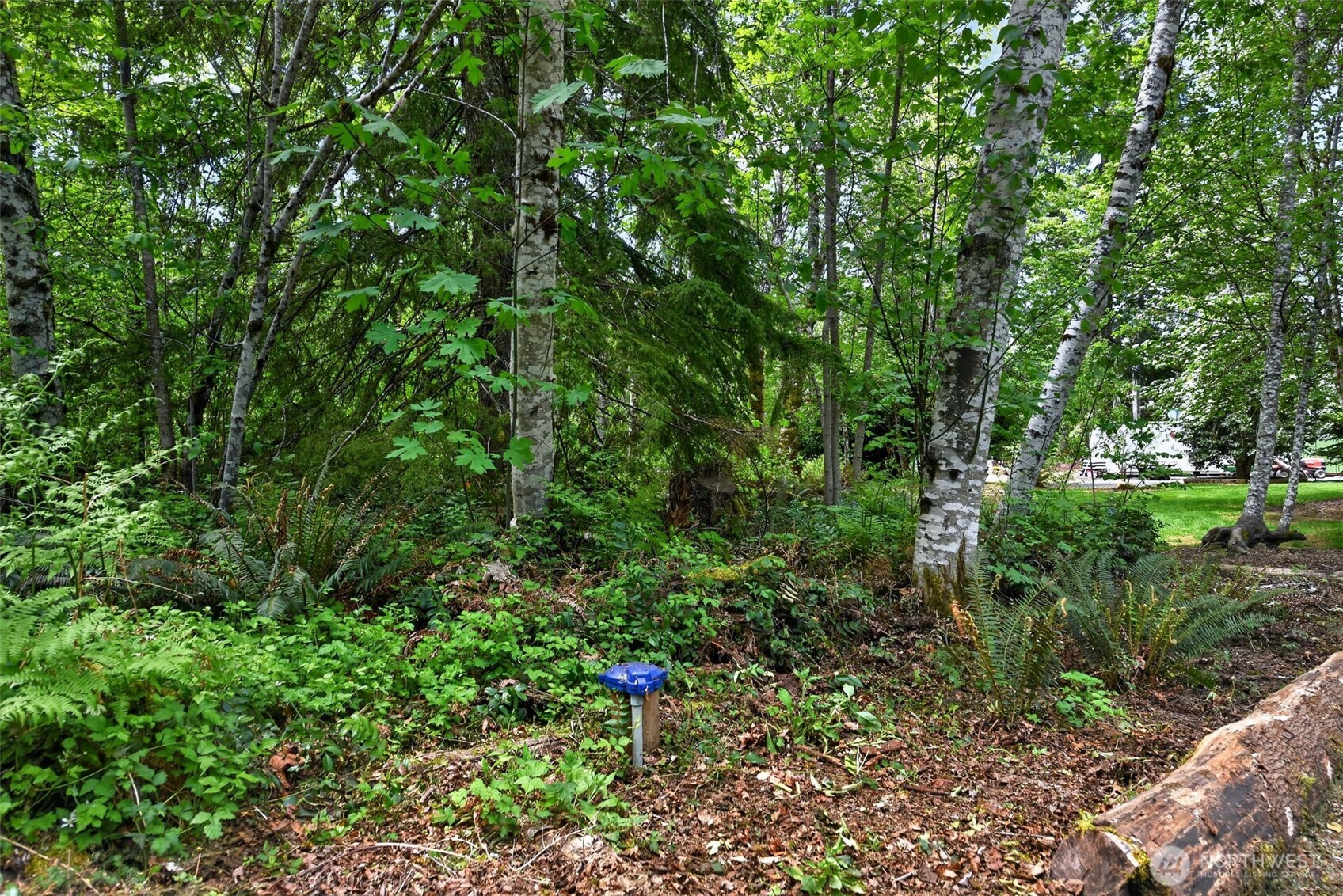 9061 US Hwy 12 , Randle, WA 98377