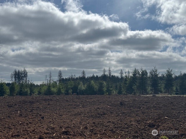 380 Hawkins Road , Winlock, WA 98596