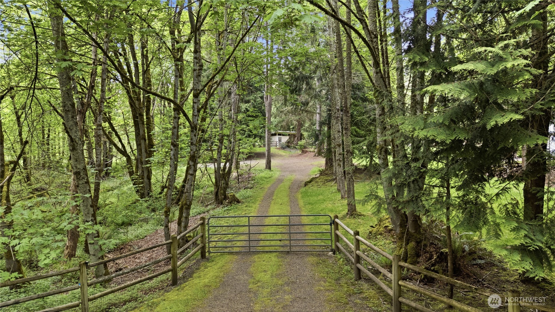 24214 SE 18th Place , Sammamish, WA 98075