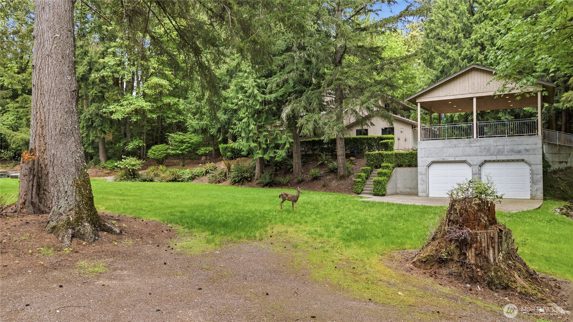 24214 SE 18th Place , Sammamish, WA 98075
