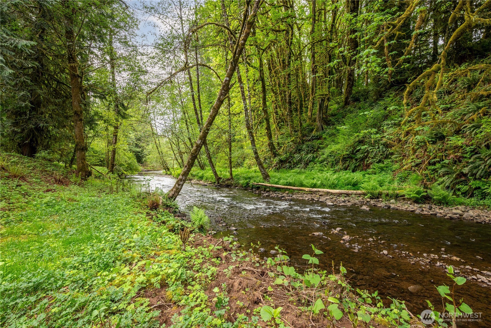 1975 Coal Creek Road , Longview, WA 98632