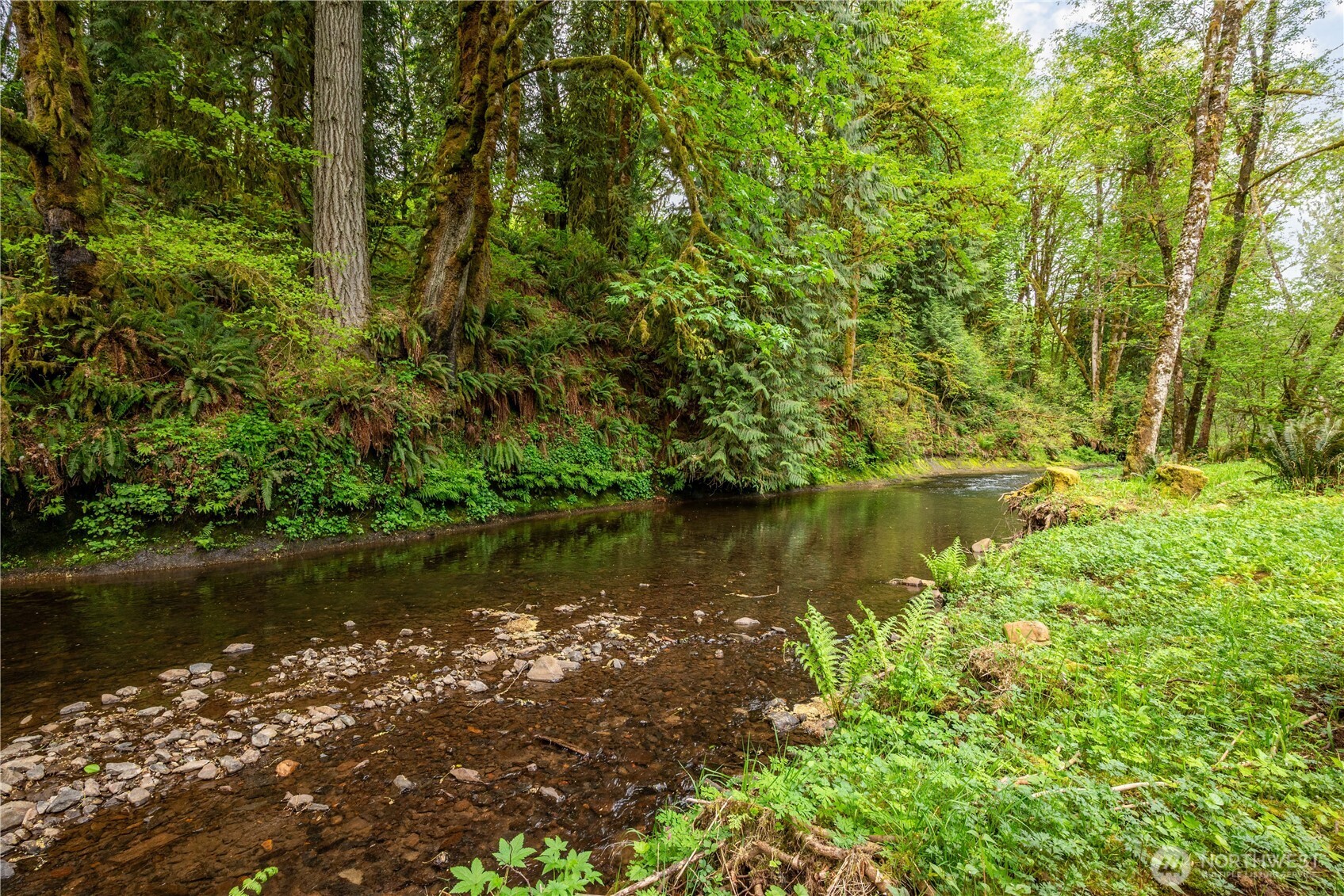1975 Coal Creek Road , Longview, WA 98632