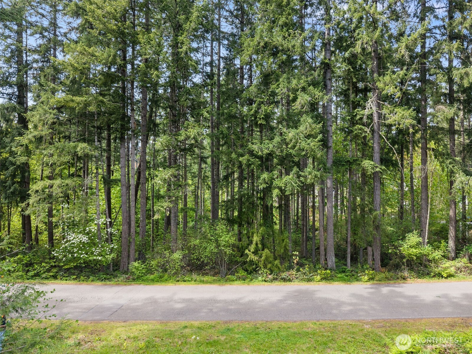 18336 E Clear Lake Blvd SE, Yelm, WA 98597