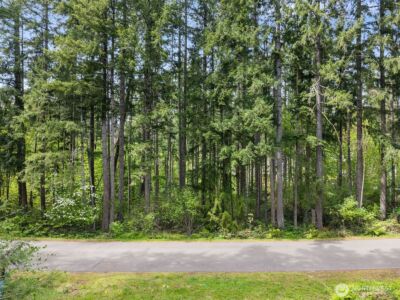 18336 E Clear Lake Blvd SE, Yelm, WA 98597 - Photo 4