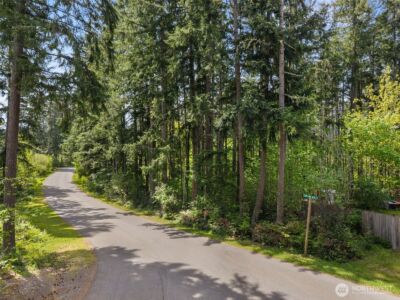18336 E Clear Lake Blvd SE, Yelm, WA 98597 - Photo 5