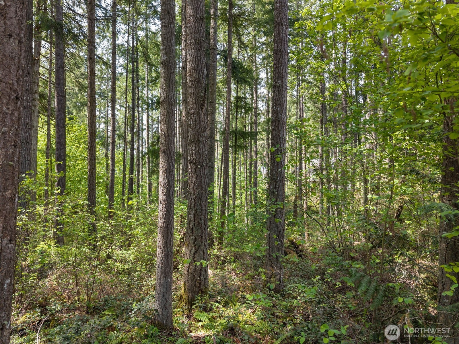 18336 E Clear Lake Blvd SE, Yelm, WA 98597
