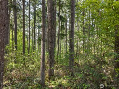18336 E Clear Lake Blvd SE, Yelm, WA 98597 - Photo 6