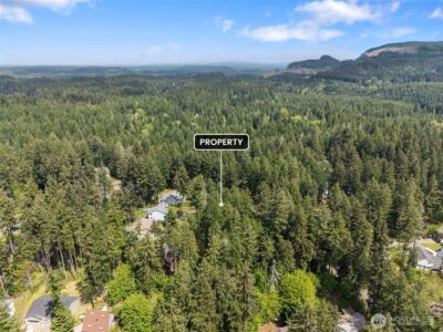18336 E Clear Lake Blvd SE, Yelm, WA 98597 - Photo 10
