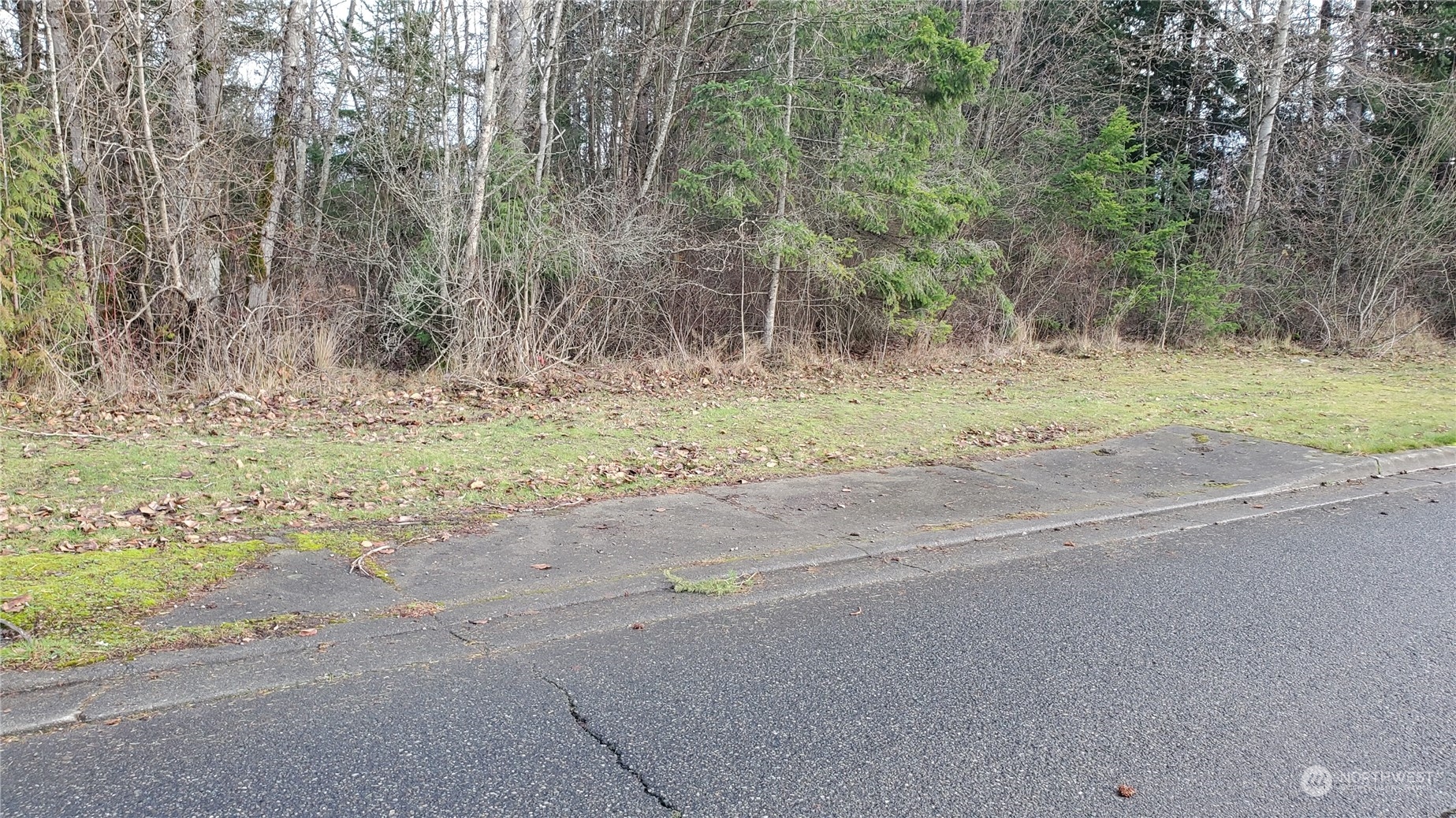 4492 Sweet Road , Blaine, WA 98230