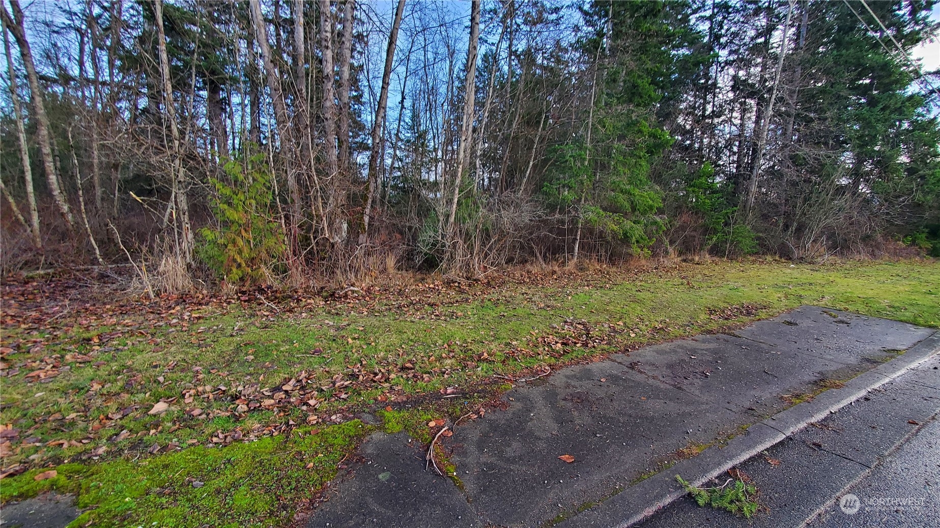 4492 Sweet Road , Blaine, WA 98230
