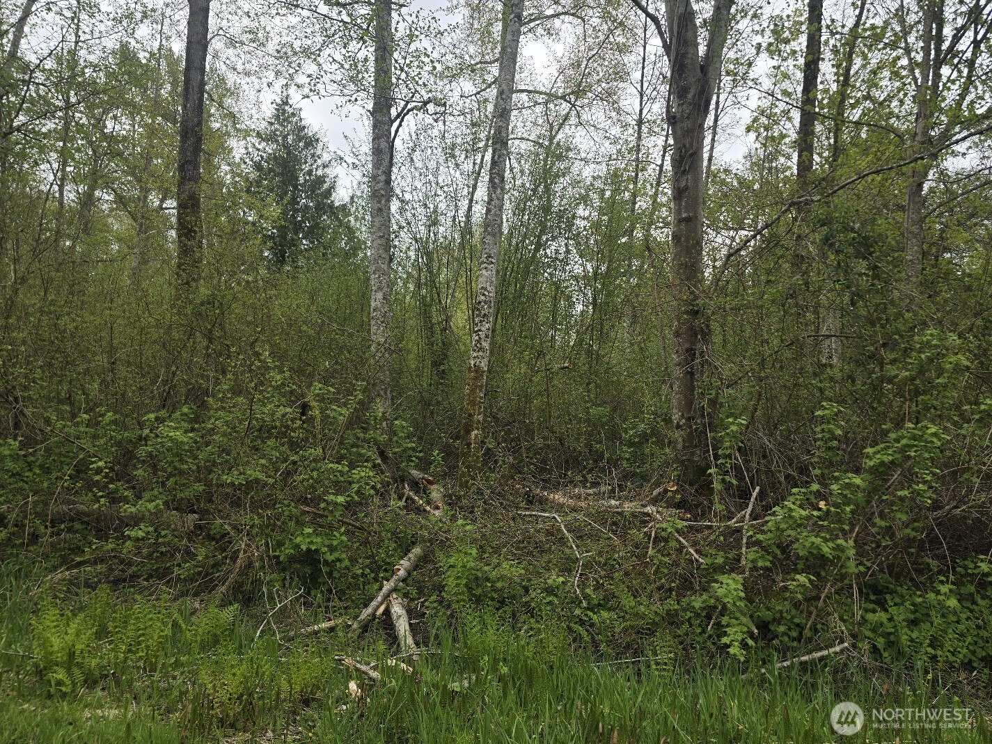 0 Shorewood Lane , Bellingham, WA 98226