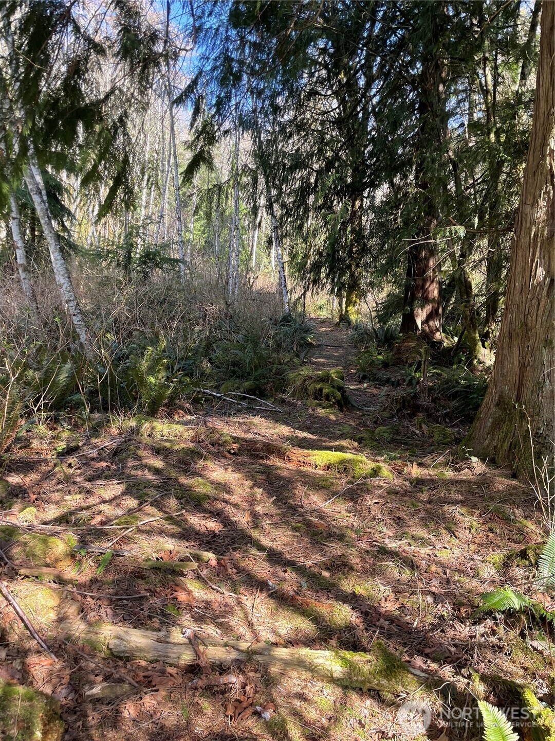 0 xx 203rd Avenue NE, Arlington, WA 98223