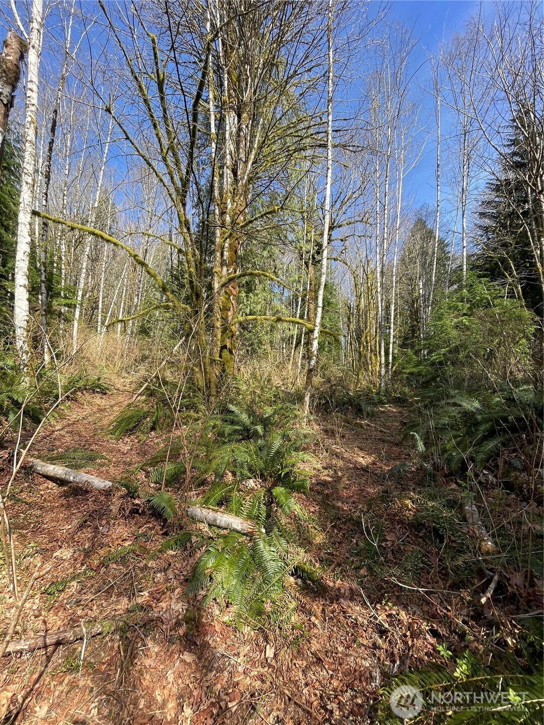 0 xx 203rd Avenue NE, Arlington, WA 98223