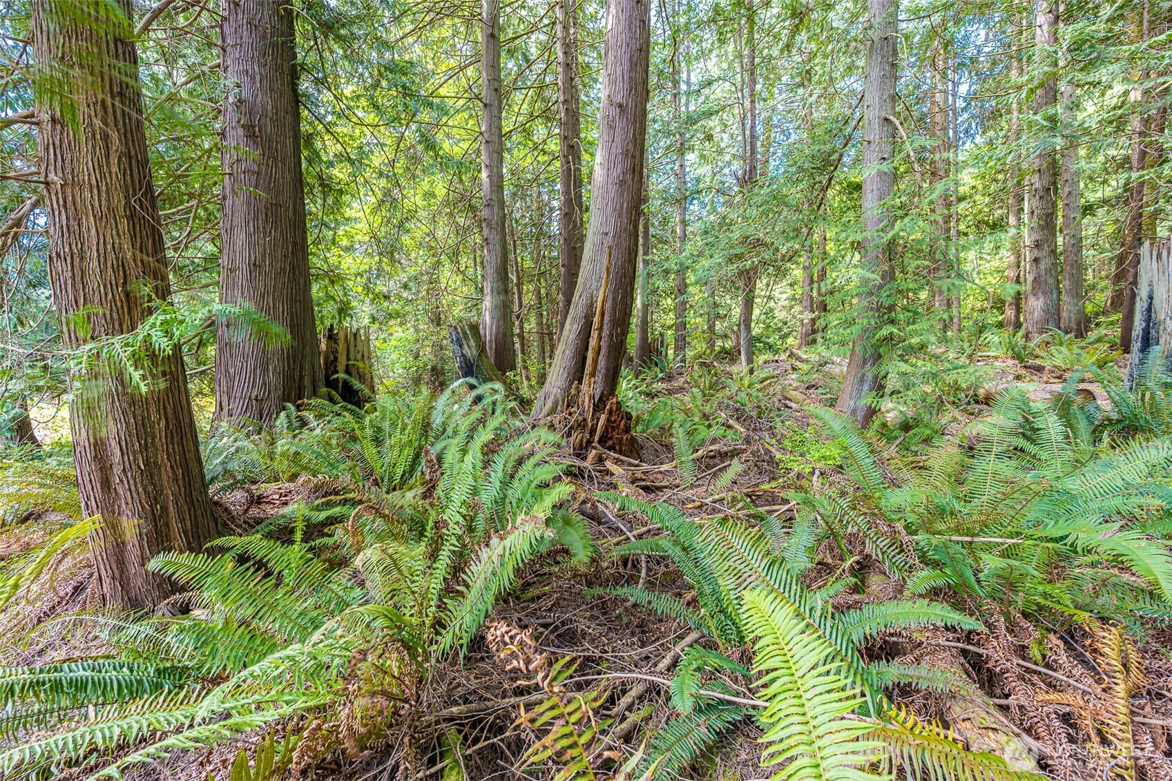 530 Montgomery Lane , Port Ludlow, WA 98365