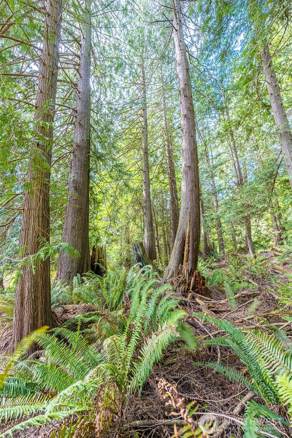 530 Montgomery Lane , Port Ludlow, WA 98365