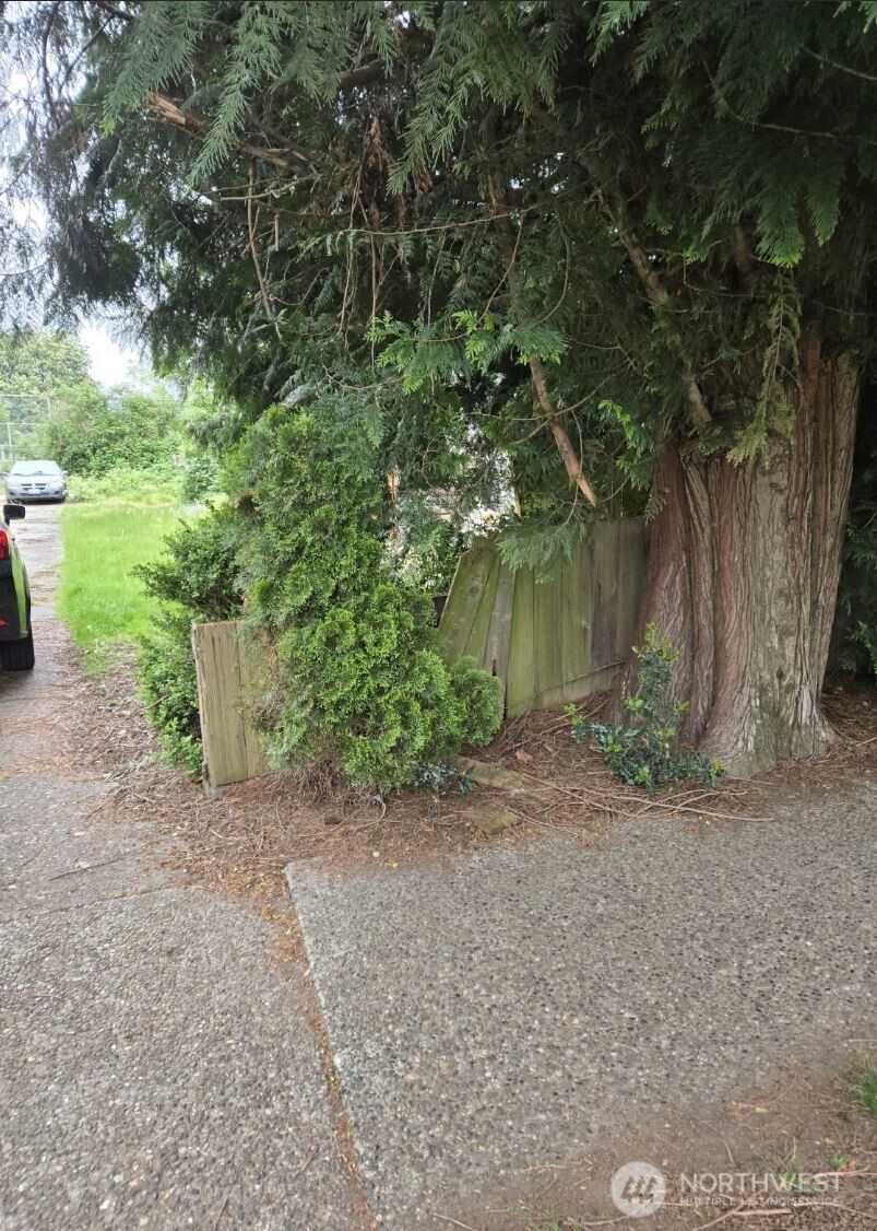 8452 12th Avenue SW, Seattle, WA 98106