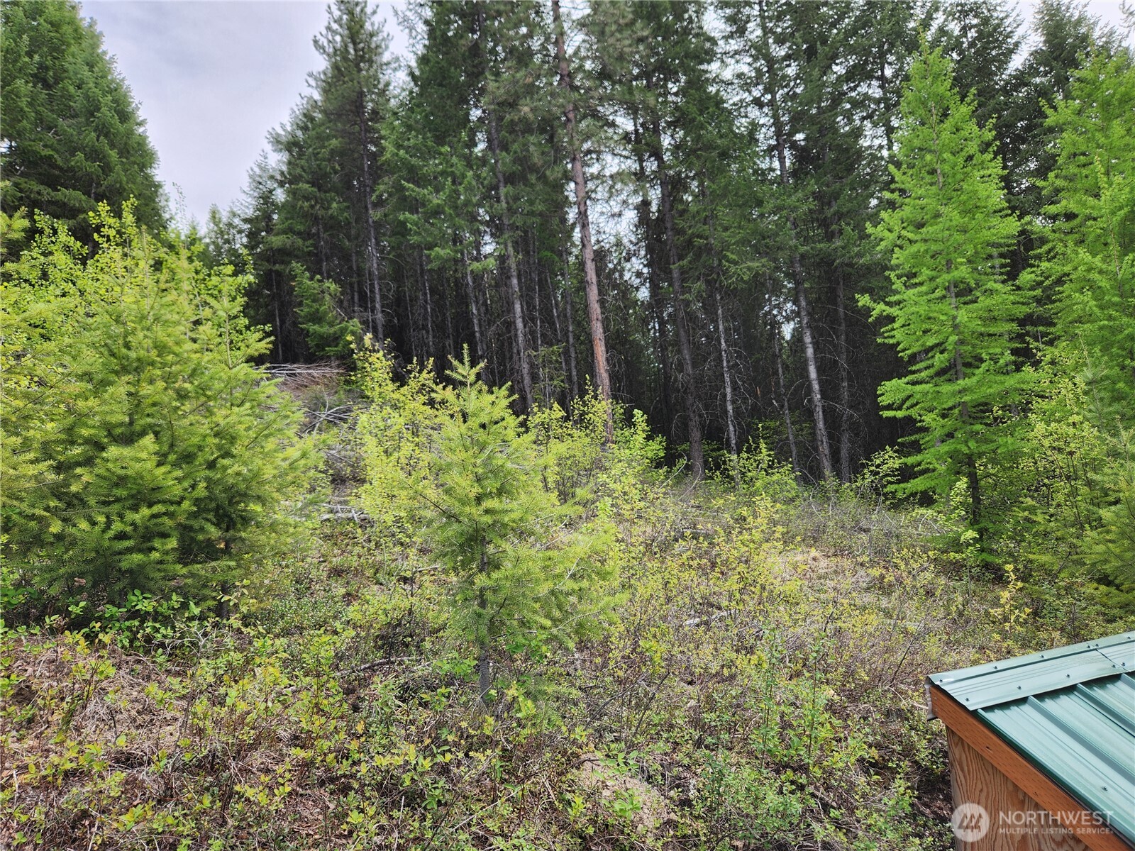 15 Wild Turkey Road , Republic, WA 99166